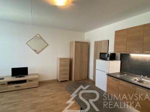 Pronájem bytu 1+kk, Sušice - Sušice II, Kaštanová, 33 m2