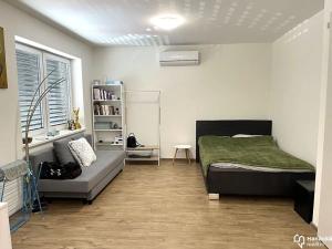 Pronájem bytu 1+kk, Olomouc, Dolní novosadská, 36 m2