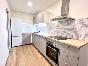 Pronájem bytu 1+kk, Praha - Nové Město, Dittrichova, 62 m2