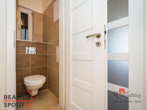 Pronájem bytu 2+kk, Praha - Vysočany, Freyova, 59 m2