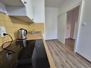 Pronájem bytu 1+kk, Nový Jičín, Za Korunou, 25 m2