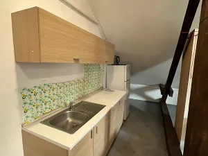 Pronájem bytu 1+kk, Havlíčkův Brod, Na Losích, 40 m2