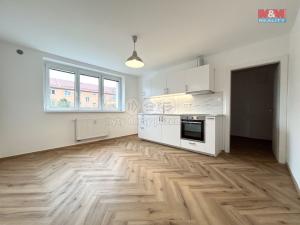 Pronájem bytu 2+kk, Ostrov, Lidická, 41 m2