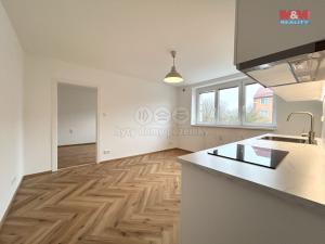 Pronájem bytu 2+kk, Ostrov, Lidická, 41 m2