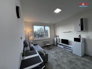 Pronájem bytu 1+kk, Litoměřice - Předměstí, Alšova, 21 m2