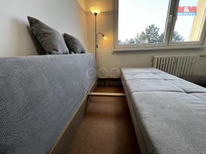 Pronájem bytu 1+kk, Litoměřice - Předměstí, Alšova, 21 m2