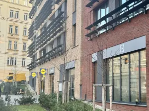 Pronájem bytu 2+kk, Praha - Žižkov, U Viktorie, 46 m2