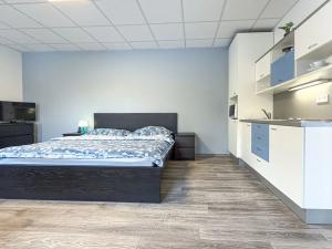 Pronájem atypického bytu, Chomutov, Lesní, 40 m2