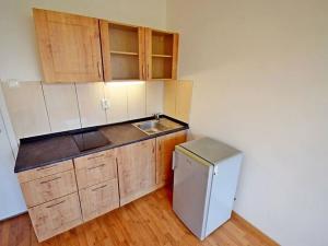 Pronájem bytu 1+kk, Praha - Hostivař, Hornoměcholupská, 22 m2