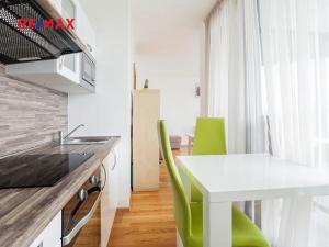 Pronájem bytu 1+kk, Praha - Žižkov, Pitterova, 65 m2