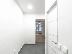 Pronájem bytu 1+1, Praha - Bubeneč, Čechova, 44 m2