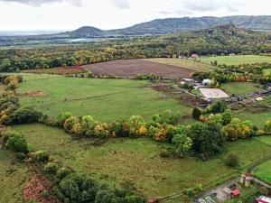 Prodej pozemku, Třebušín, 127000 m2