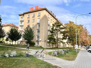 Pronájem bytu 1+1, Brno, Šumavská, 38 m2