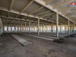 Prodej výrobních prostor, Velké Hamry, 11000 m2