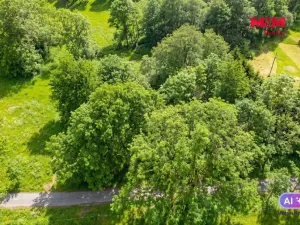 Prodej louky, Výprachtice - Valteřice, 321 m2