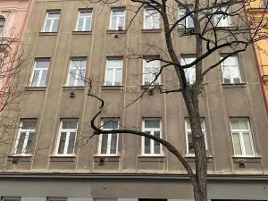 Prodej bytu 2+kk, Praha - Vinohrady, Velehradská, 50 m2