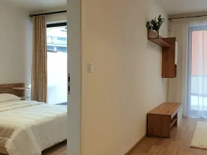 Pronájem bytu 2+kk, Praha - Žižkov, Basilejské náměstí, 58 m2