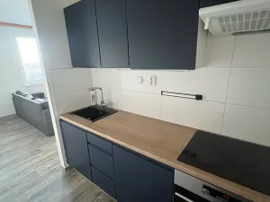 Prodej bytu 2+kk, Brno, Prušánecká, 40 m2