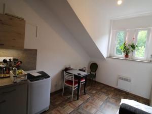 Pronájem bytu 1+kk, Karlovy Vary, Svahová, 22 m2