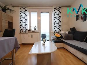 Pronájem bytu 2+kk, Karlovy Vary, Kryzánkova, 55 m2