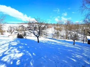 Prodej pozemku, Jestřabí v Krkonoších, 809 m2