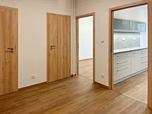 Pronájem bytu 2+1, Brno, Kotlářská, 60 m2