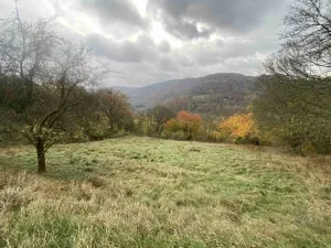 Dražba louky, Děčín, 4431 m2