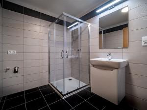 Pronájem bytu 2+kk, České Budějovice - České Budějovice 5, 64 m2