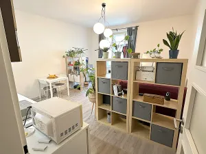 Pronájem bytu 1+kk, Praha - Žižkov, Biskupcova, 30 m2