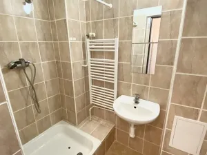 Pronájem bytu 1+kk, Ostrava, Korunní, 20 m2