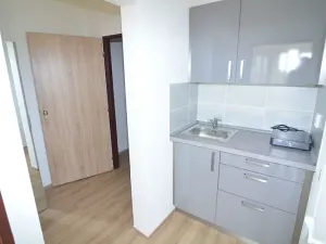 Pronájem bytu 1+kk, Praha - Černý Most, Kuttelwascherova, 22 m2