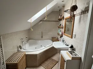 Pronájem bytu 2+kk, České Budějovice, Holečkova, 44 m2