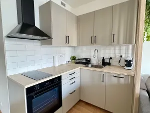 Pronájem bytu 1+kk, Praha - Žižkov, Basilejské náměstí, 37 m2