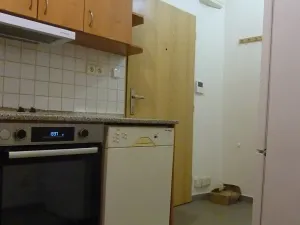 Pronájem bytu 2+kk, Praha - Žižkov, Lucemburská, 47 m2