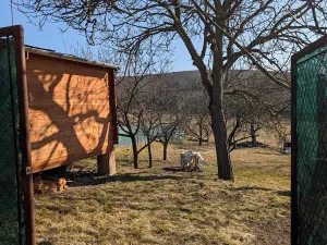 Pronájem zahrady, Slavkov u Brna, 419 m2