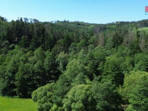 Prodej rodinného domu, Věžná, 481 m2