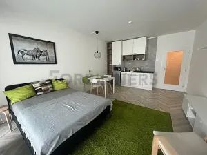 Pronájem bytu 1+kk, Brno, Cejl, 39 m2