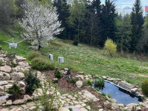 Prodej chalupy, Nová Ves nad Nisou - Horní Černá Studnice, 120 m2