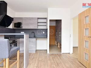 Pronájem bytu 1+1, Děčín - Děčín III-Staré Město, Rakovnická, 36 m2