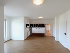 Pronájem rodinného domu, Průhonice, Pod Valem II., 400 m2