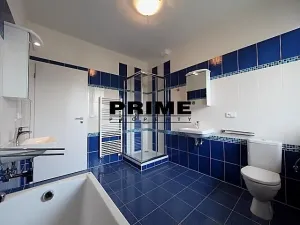 Pronájem rodinného domu, Průhonice, Pod Valem II., 400 m2