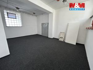 Pronájem skladu, Louny, Říční, 80 m2