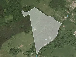 Prodej podílu lesa, Bánov, 68814 m2