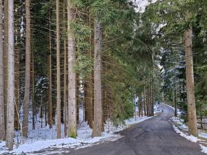 Prodej louky, Horská Kvilda, 160000 m2