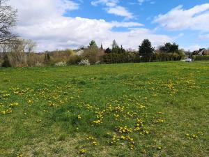 Prodej pozemku pro bydlení, Radomyšl, 10800 m2
