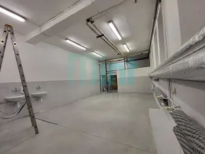 Pronájem skladu, Ostrava, Teslova, 58 m2