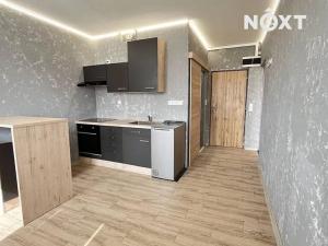 Pronájem bytu 1+1, Žatec, Růžová, 39 m2