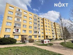 Pronájem bytu 1+1, Žatec, Růžová, 39 m2