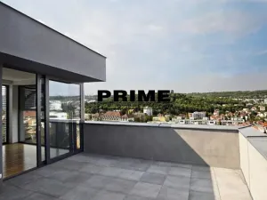 Pronájem rodinného domu, Praha - Košíře, Musílkova, 400 m2