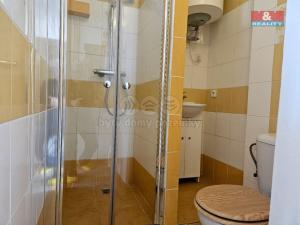 Prodej bytu 3+1, Litvínov - Horní Litvínov, Podkrušnohorská, 108 m2